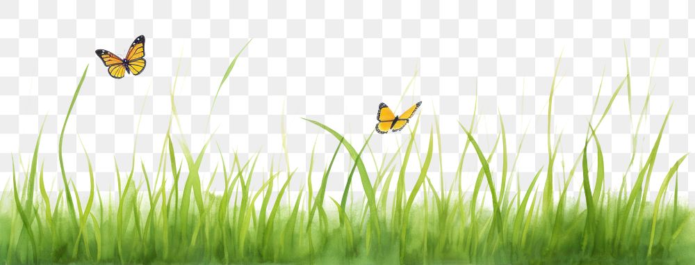 PNG Grass with butterfly nature outdoors insect.