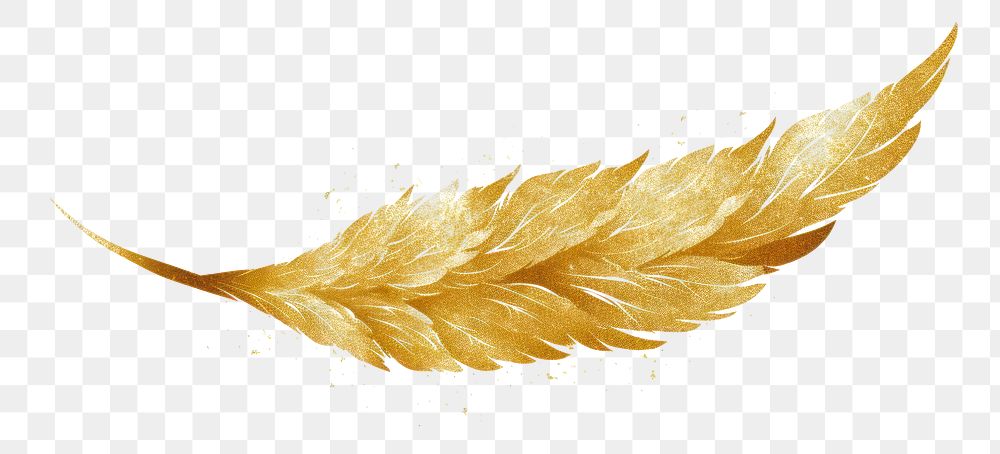 PNG  Angel wing gold plant leaf. AI generated Image by rawpixel.