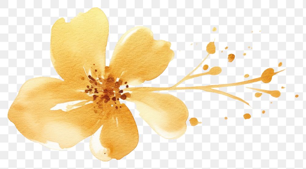 PNG  Blossom blossom flower pollen. AI generated Image by rawpixel.