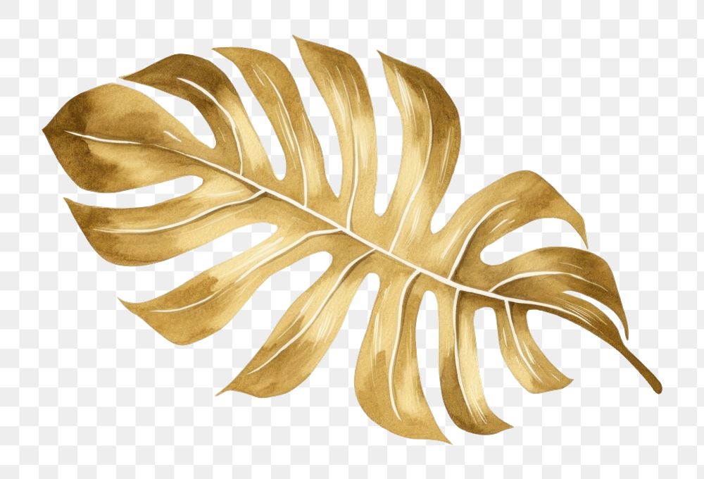 PNG  Monstera plant leaf gold. AI generated Image by rawpixel.