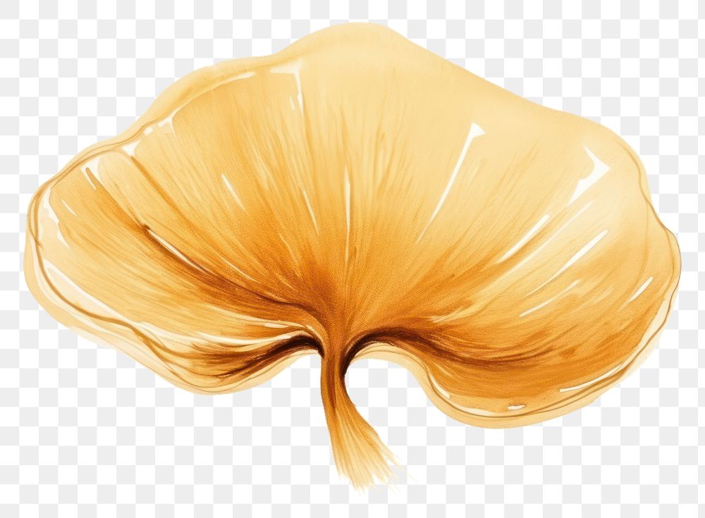 PNG  Mushroom white background freshness abstract. AI generated Image by rawpixel.