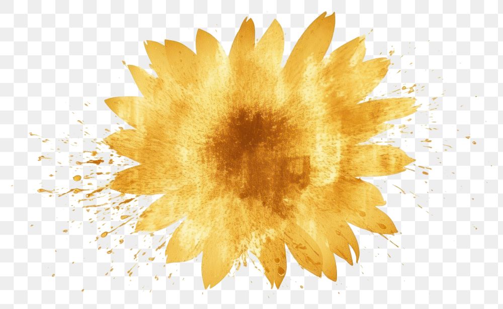 PNG  Sunflower backgrounds petal plant. AI generated Image by rawpixel.