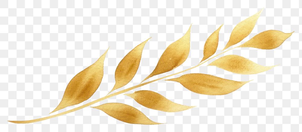 PNG  Plant pattern gold leaf. AI generated Image by rawpixel.