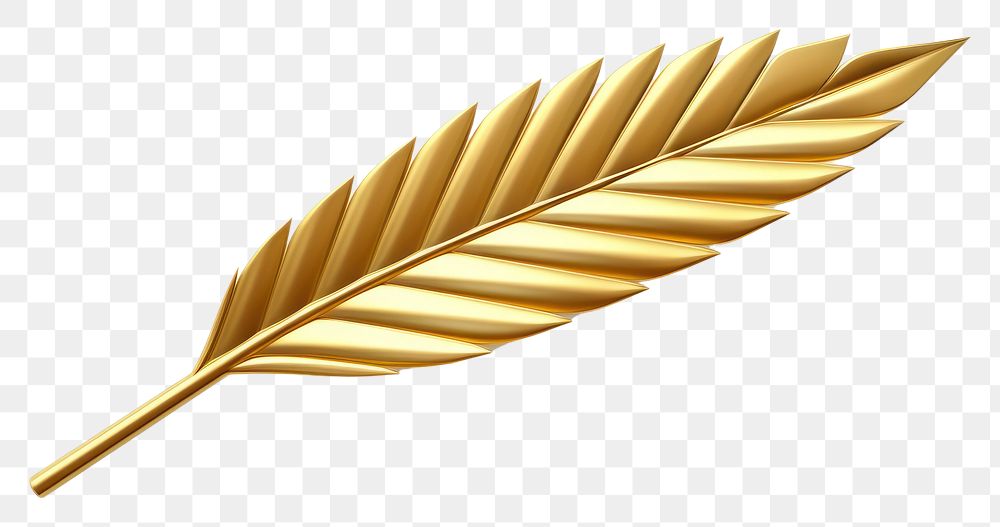 PNG  Palm leaf gold plant white background.