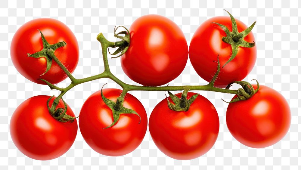 PNG  Tomatoes vegetable fruit plant. AI generated Image by rawpixel.