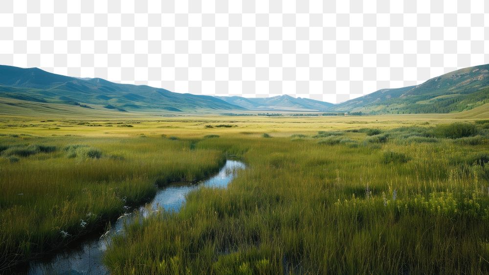 PNG Terrain in America landscape grassland outdoors.