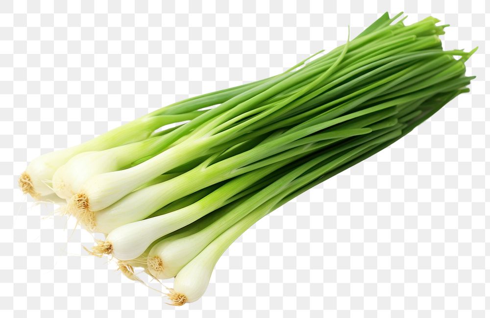 PNG Green onion japanese vegetable plant bunch.