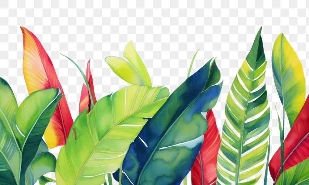 PNG Tropical leaves nature backgrounds tropics.