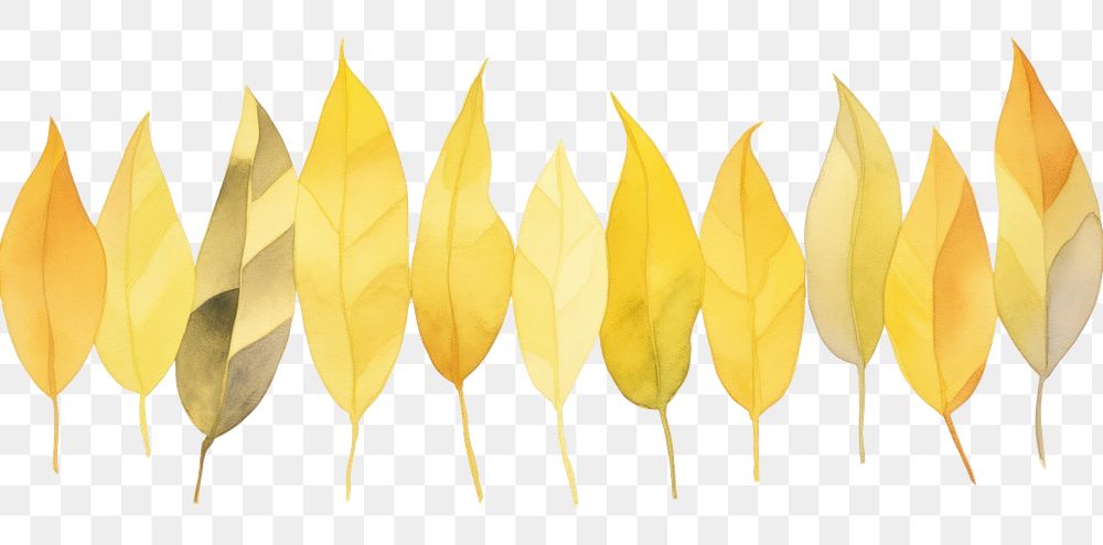 PNG Gold leaves plant leaf white background.