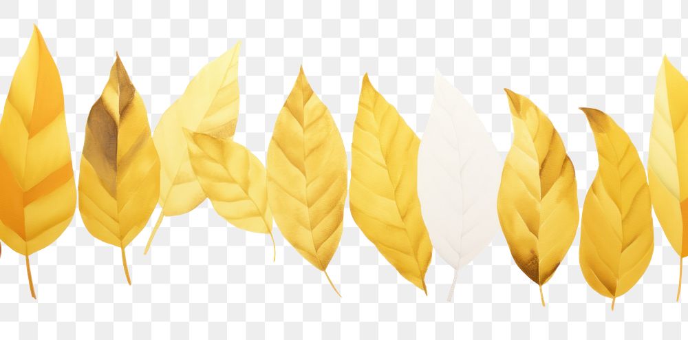 PNG Gold leaves plant leaf white background.