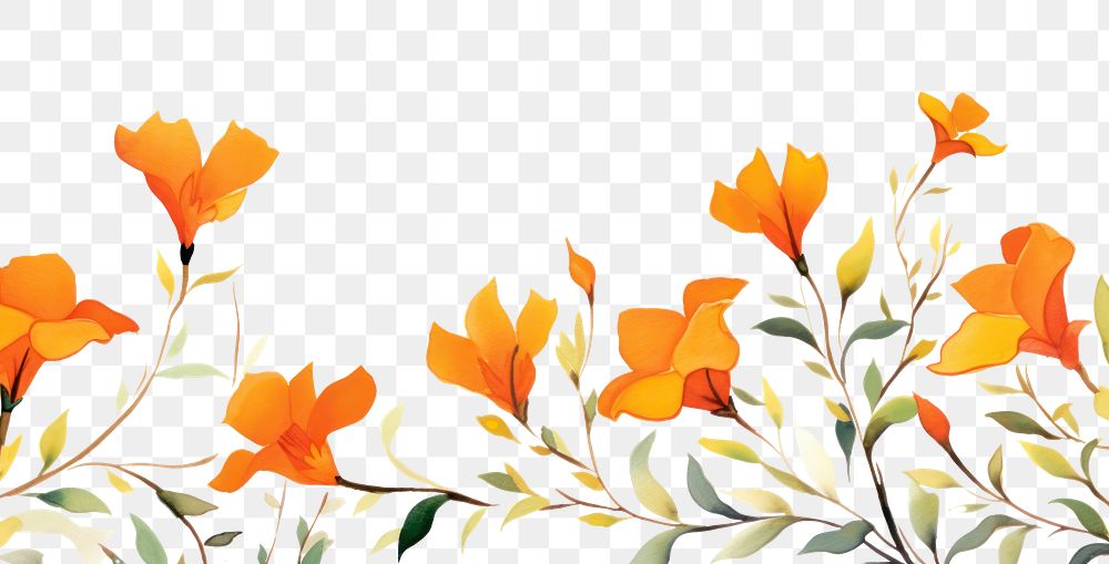 PNG Orange flowers backgrounds pattern nature.