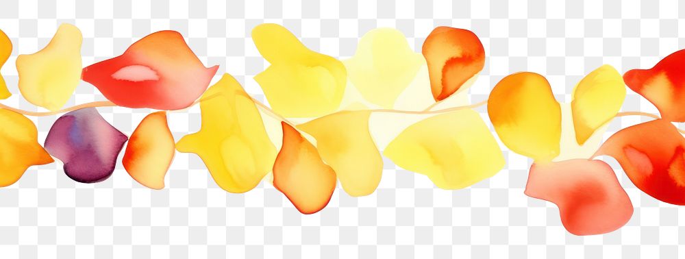 PNG Petals backgrounds white background accessories.