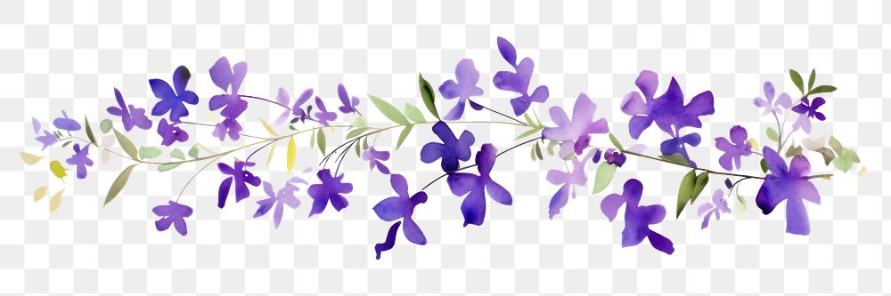 PNG Purple flower blossom nature plant.