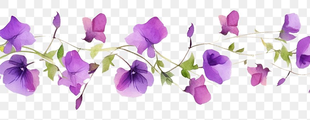 PNG Purple flowers nature petal plant.