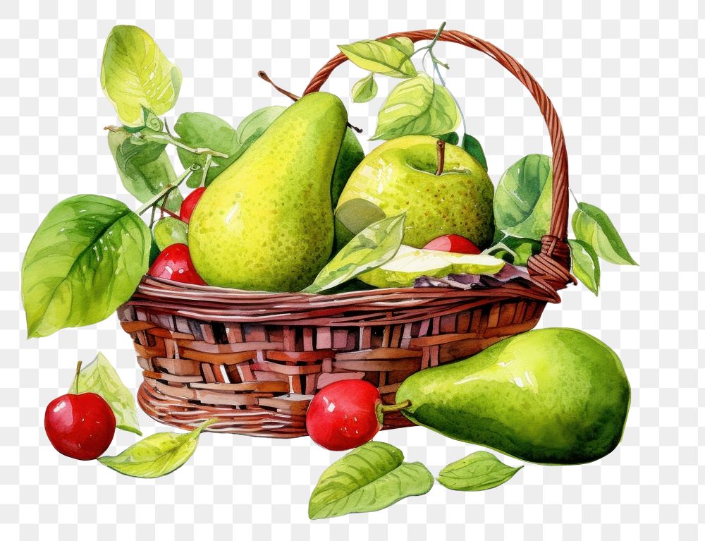 PNG  Fruit basket apple plant pear.