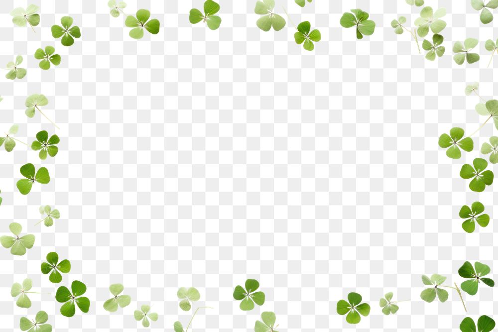 PNG  Clover leaves are scattered in the form of a border backgrounds plant herbs.