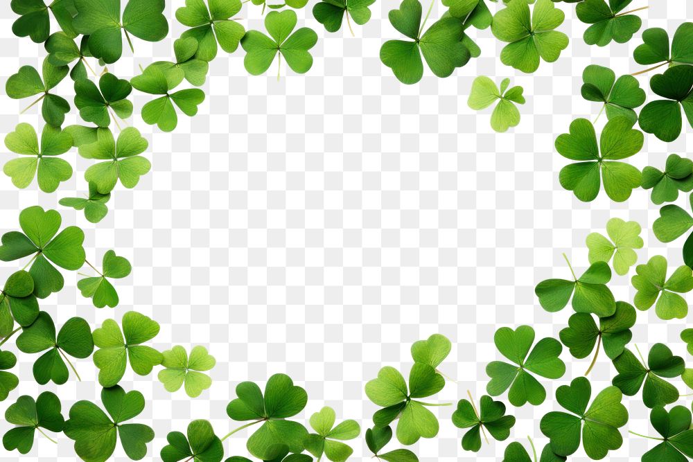 PNG  Clover leaves are scattered in the form of a frame backgrounds plant green.
