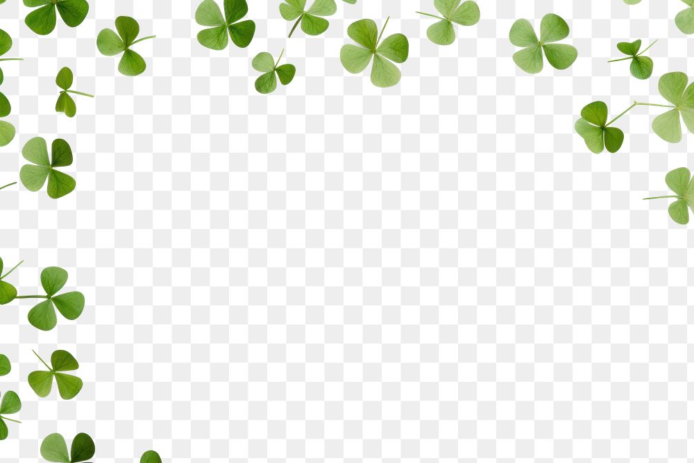 PNG  Clover leaves are scattered in the form of a frame backgrounds plant leaf.