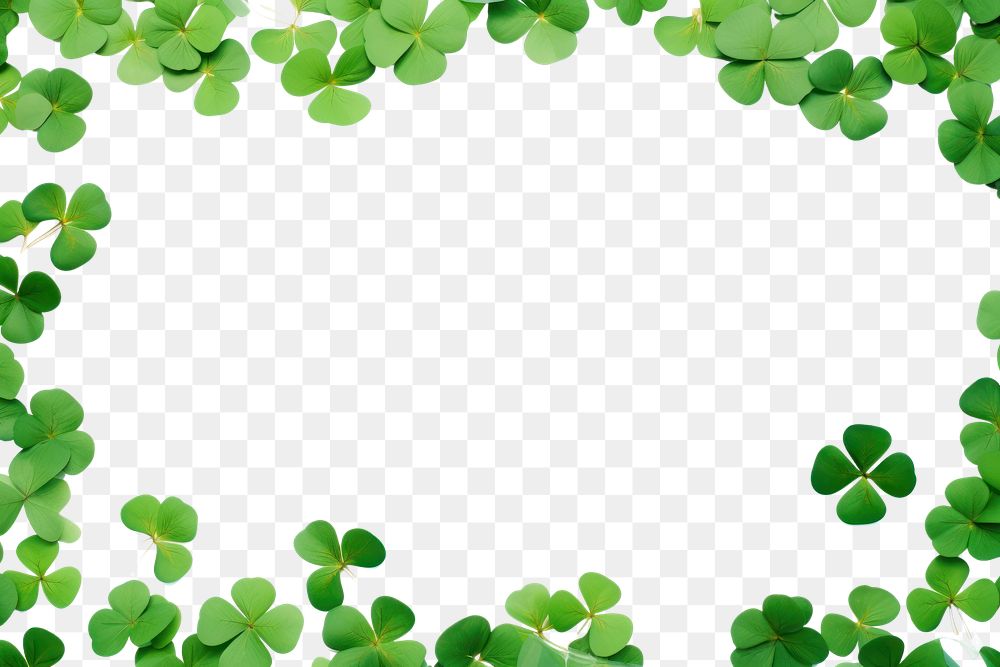 PNG  Clover leaves are scattered in the form of a frame backgrounds nature plant.