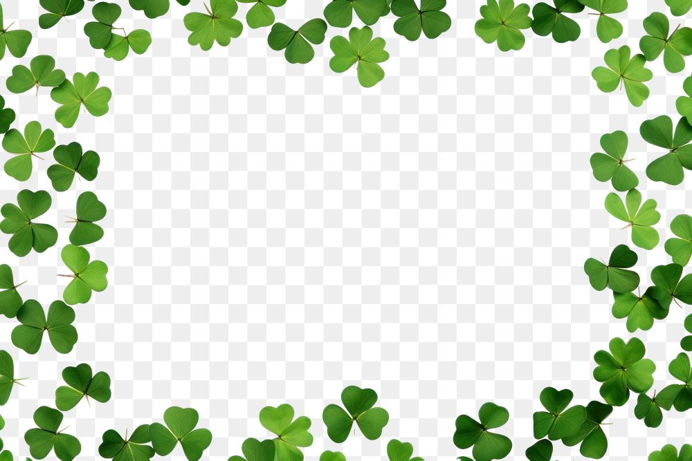 PNG  Clover leaves are scattered in the form of a frame backgrounds plant green.