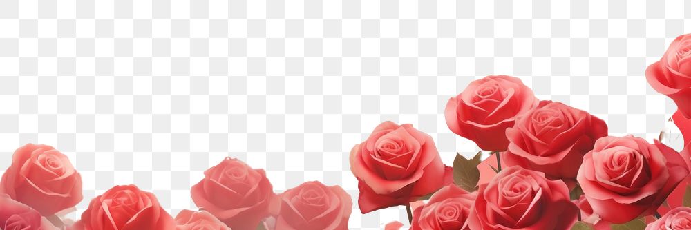 PNG Red roses backgrounds abstract flower. AI generated Image by rawpixel.