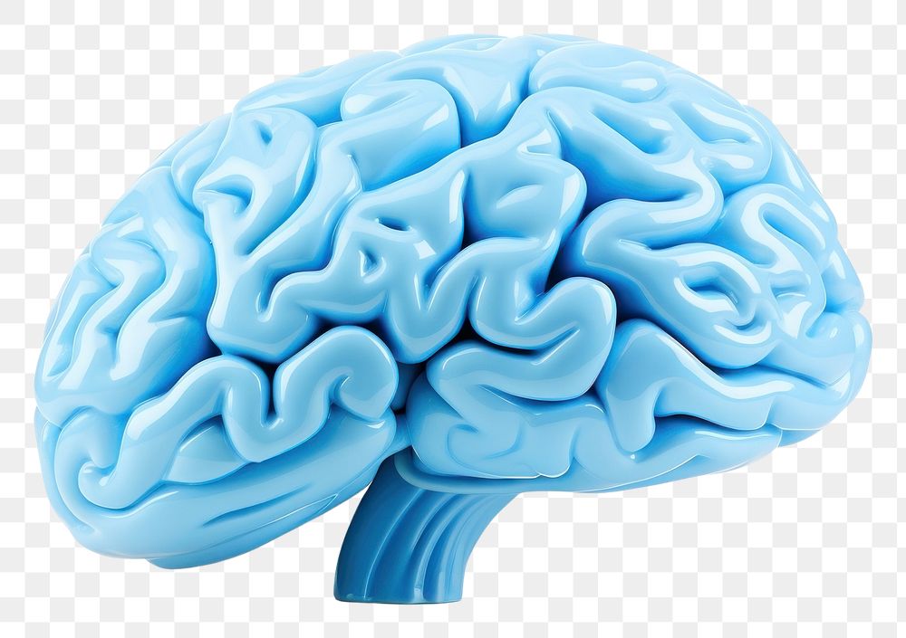 PNG Brain blue white background turquoise.