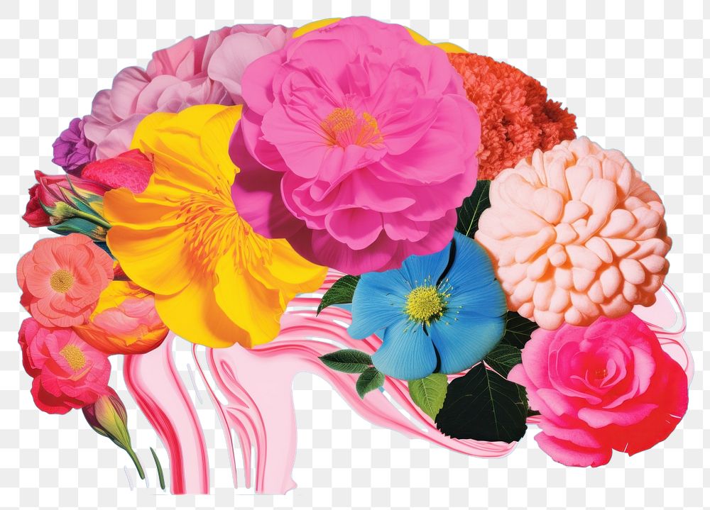 PNG Brain half collage photo flowers and half minimal line art painting petal plant.