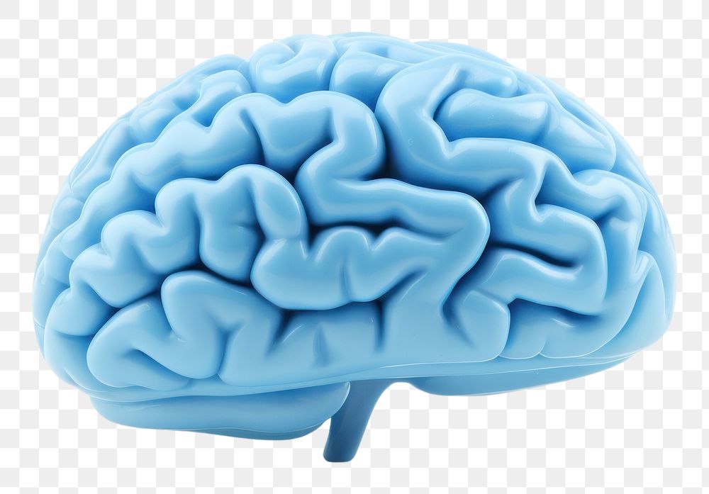 PNG Brain blue white background outdoors.