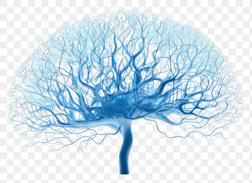 PNG Plant brain tree blue.