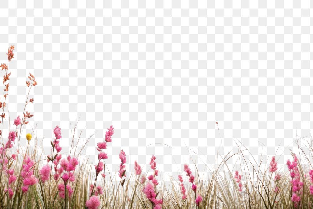 PNG Blossom grass backgrounds grassland.