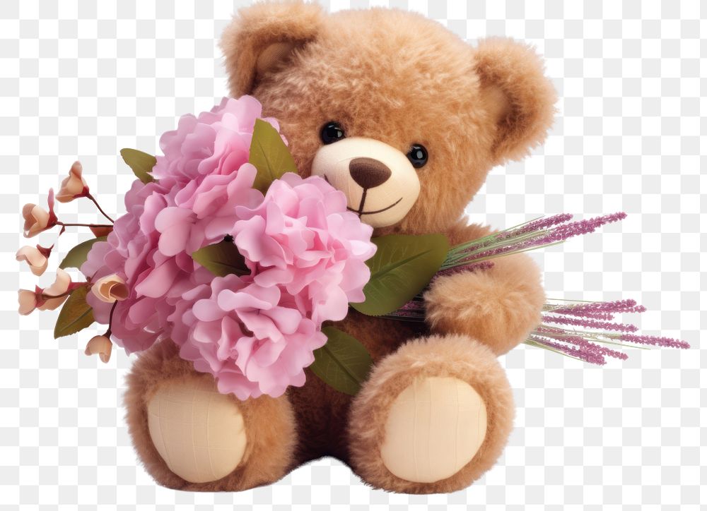 PNG Teddy Bear flower plant bear.
