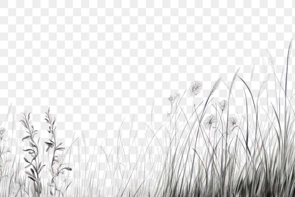 PNG Meadow outdoors drawing nature. AI generated Image by rawpixel.