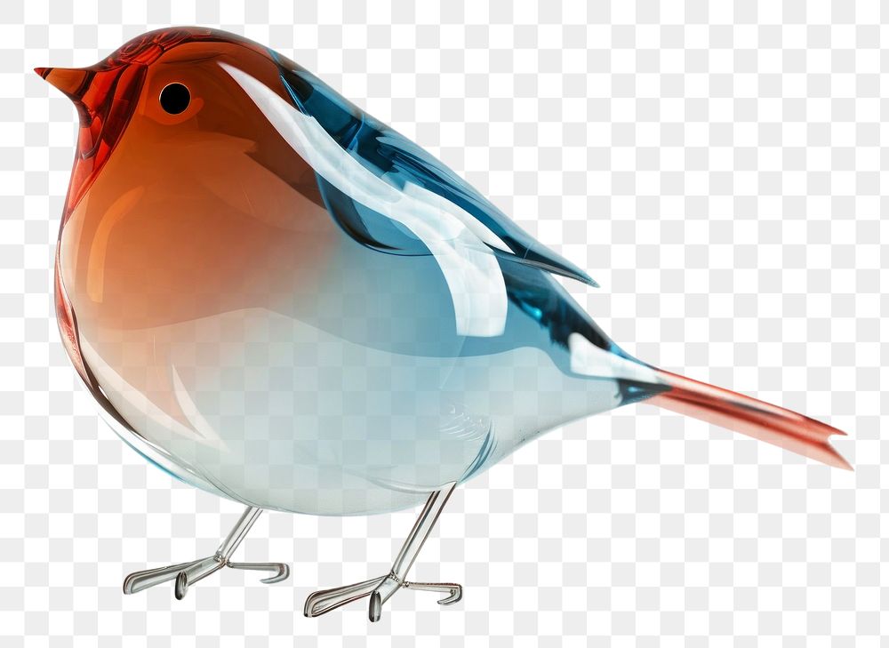 PNG Bird animal robin songbird.