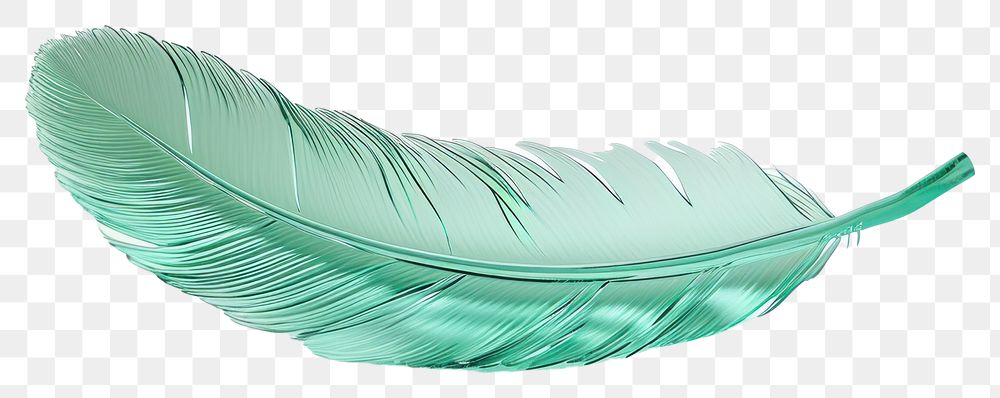 PNG Feather simple shape lightweight turquoise porcelain.