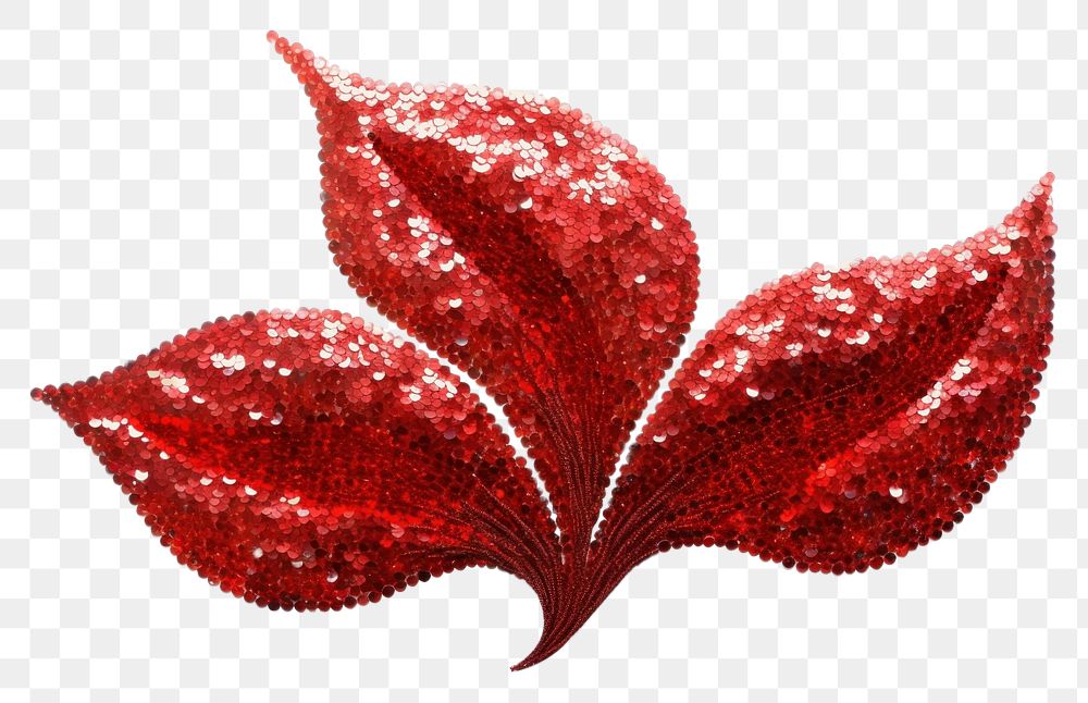 PNG Red lily flower glitter plant petal.