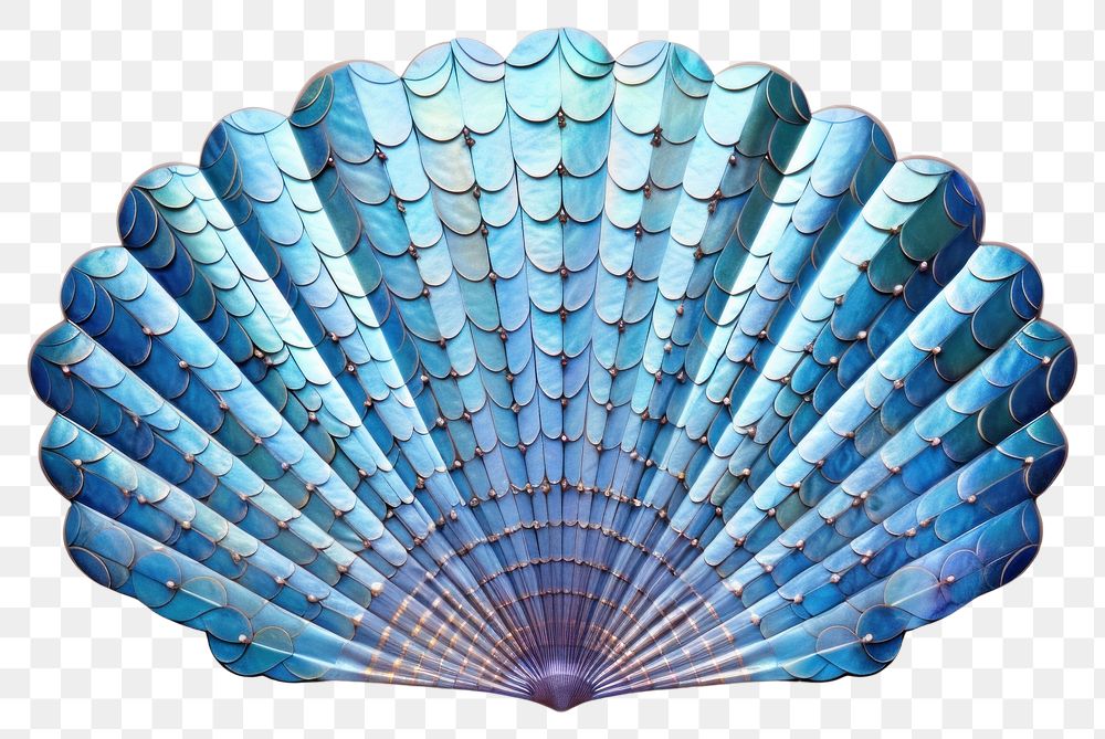 PNG Blue sea shell white background invertebrate turquoise.