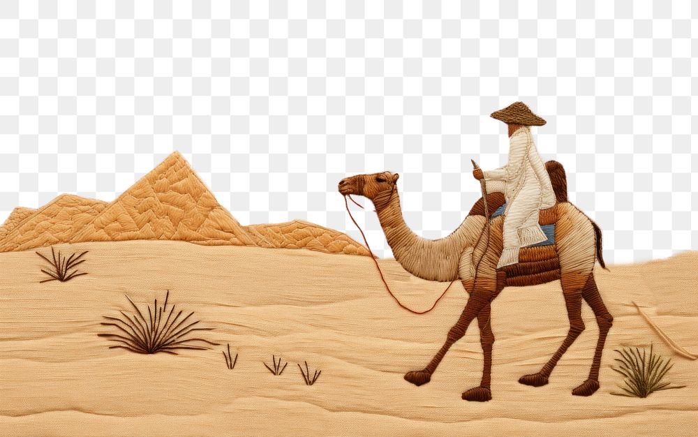 PNG  Camel walk on desert animal mammal adult.