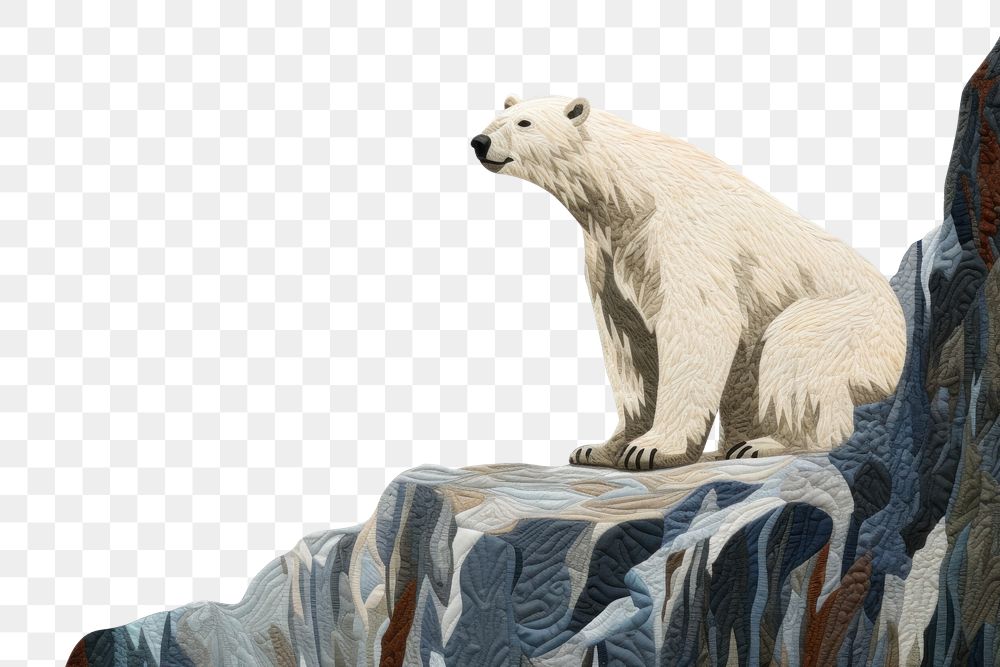 PNG  Polar bear on icebeug wildlife mammal animal.