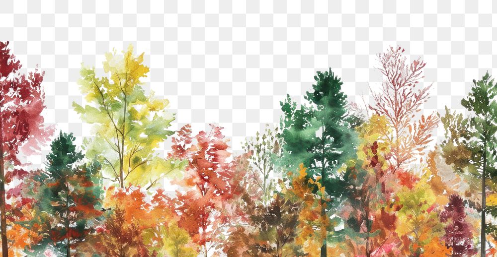 PNG Autumn forest backgrounds outdoors nature.