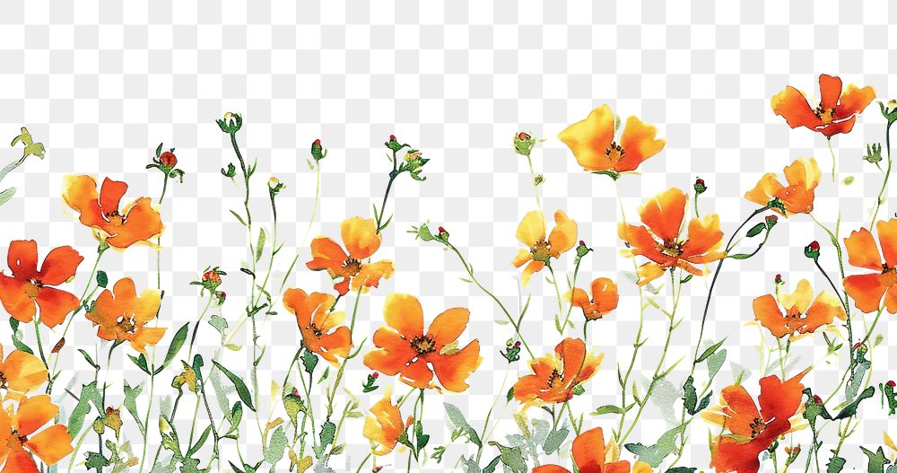 PNG Orange flowers backgrounds pattern plant.