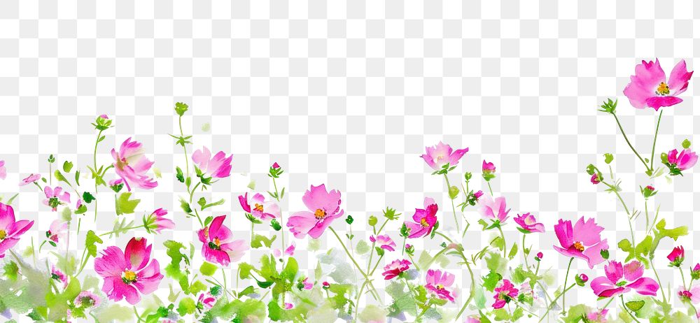 PNG Pink tiny flowers backgrounds outdoors blossom.