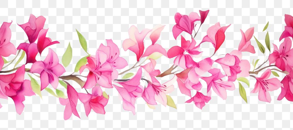 PNG Pink flowers blossom petal plant.