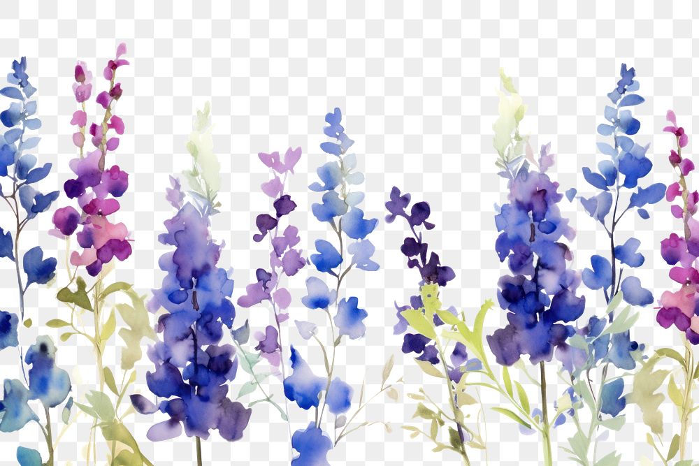 PNG Purple and blue flowers backgrounds lavender blossom.