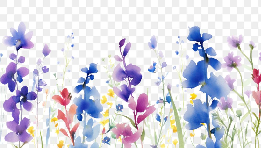 PNG Purple and blue flowers backgrounds outdoors blossom.