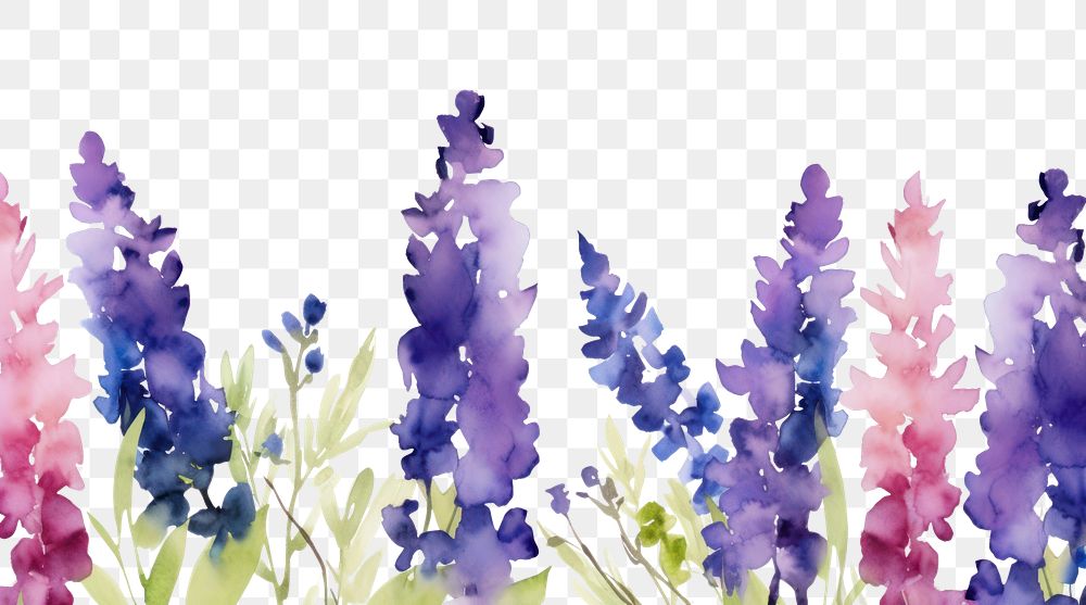 PNG Purple flowers backgrounds lavender blossom.