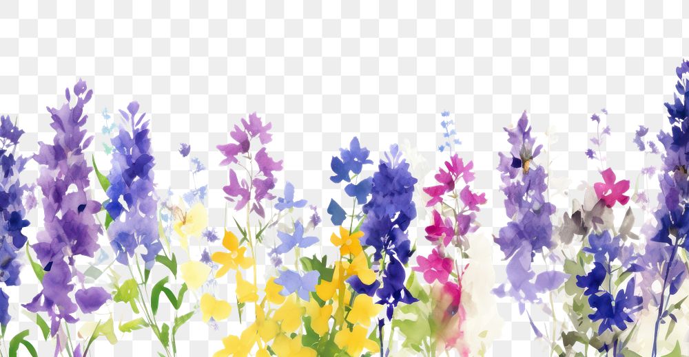 PNG Purple flowers backgrounds lavender outdoors.