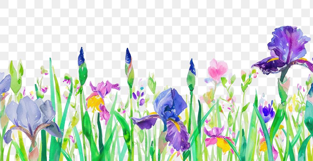 PNG Purple iris flower and wildflowers backgrounds outdoors plant.
