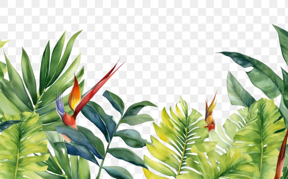 PNG Tropical leaves and bird backgrounds outdoors tropics