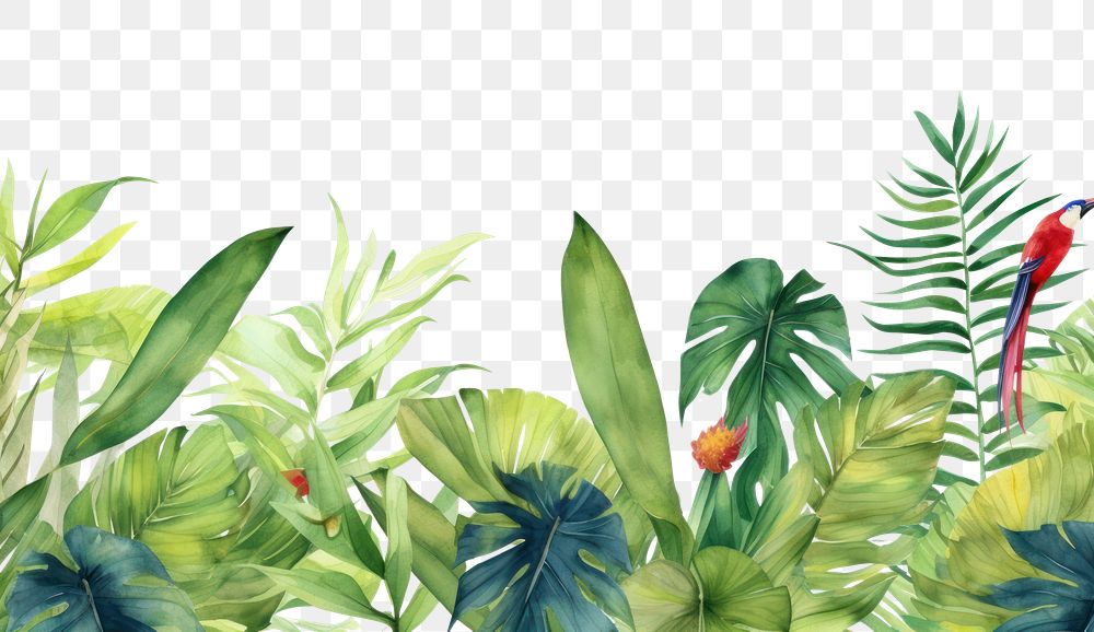 PNG Tropical leaves and bird backgrounds vegetation outdoors.