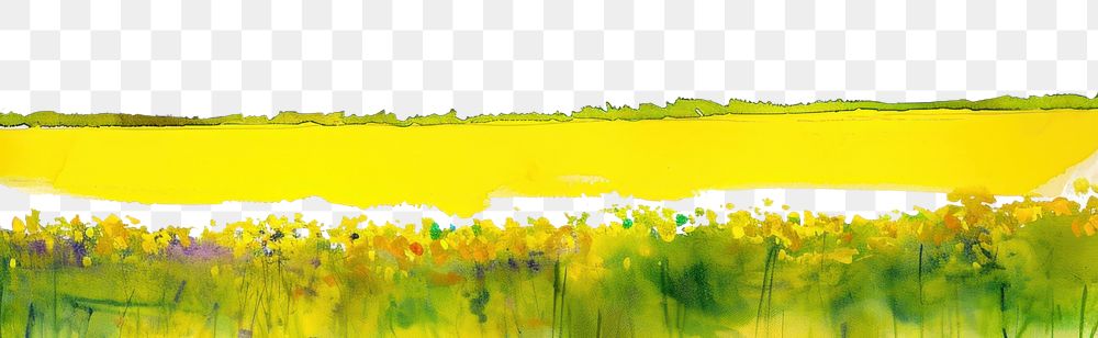 PNG Yellow field landscape grassland outdoors.